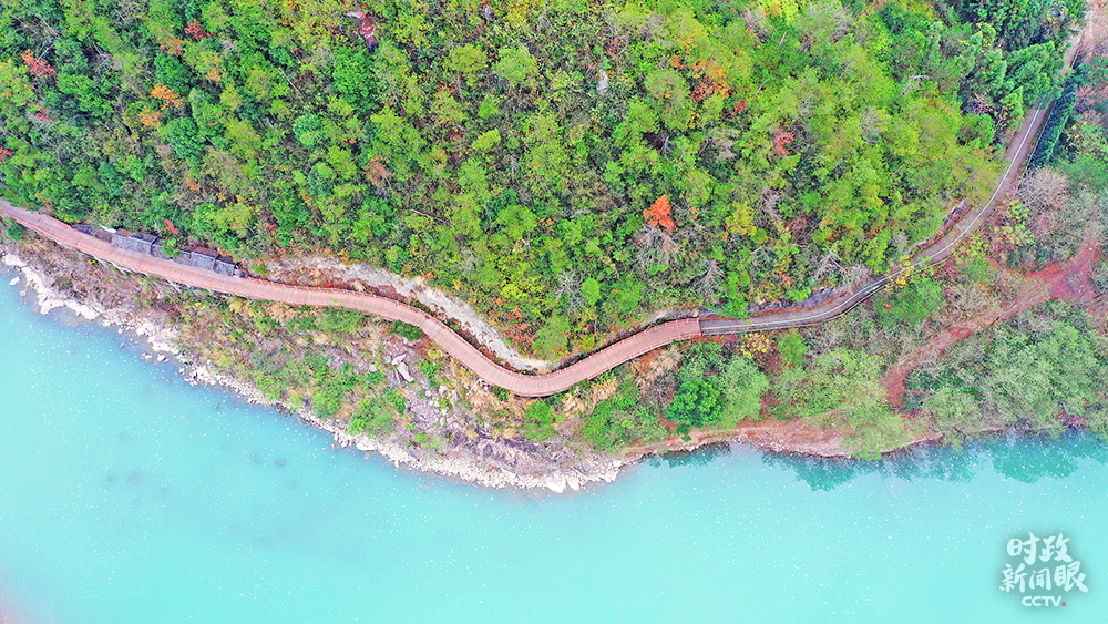 △浙江仙居縣建設鄉村田園生態綠道,不僅方便村民出行,更帶動鄉村旅游和村民增收。