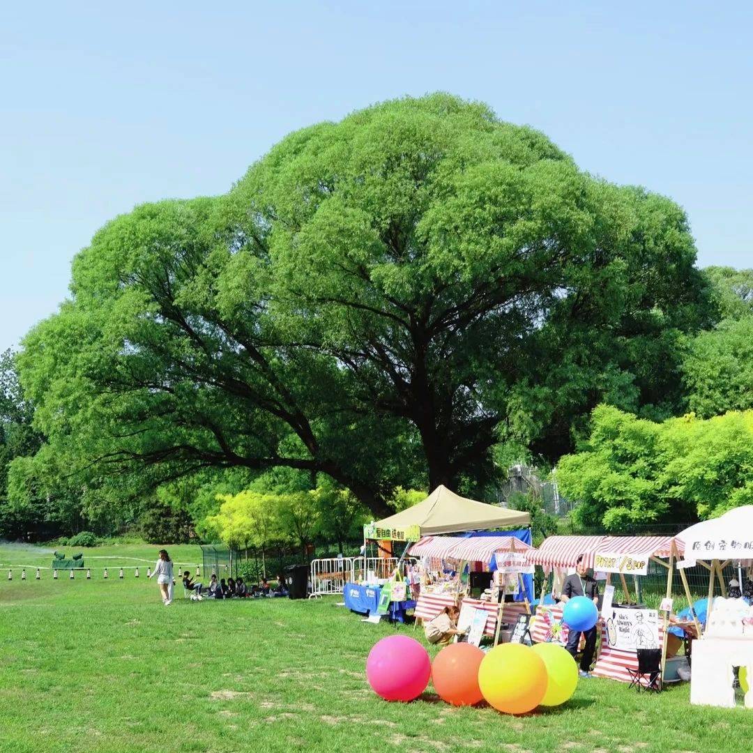 微信圖片_20250327082818