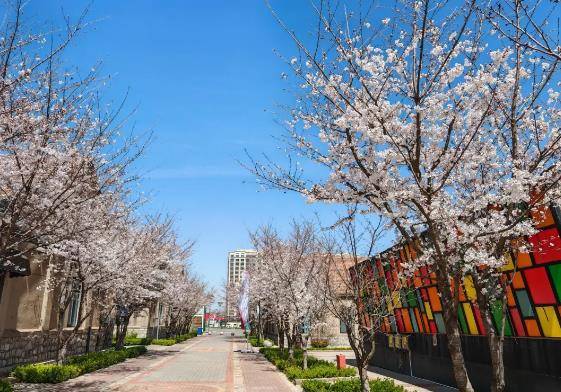 360截圖175711187896113