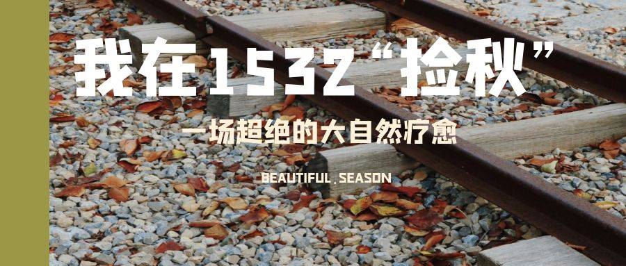 秋分秋分詩句黃色寫實(shí)公眾號首圖 (2)