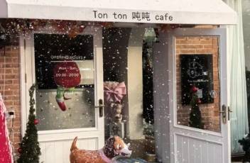 微信截圖_20241130085254