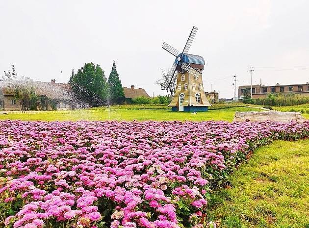 微信截圖_20241214084240