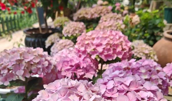 微信截圖_20250522143157