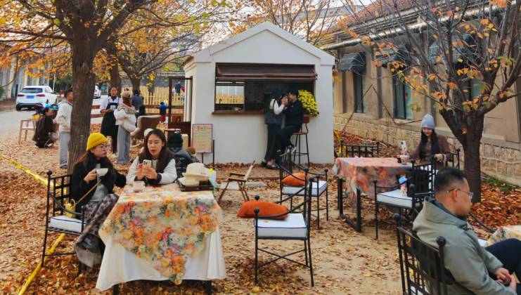 ScreenShot_2025-11-17_155500_030